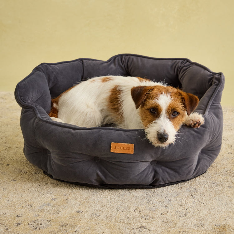Joules Chesterfield Pet Bed - Grey