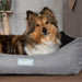 Scruffs Expedition Water Resistant Box Dog Bed - Storm Grey
