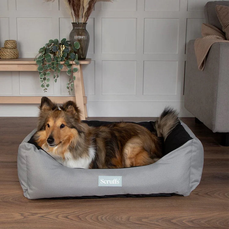 Scruffs Expedition Water Resistant Box Dog Bed - Storm Grey