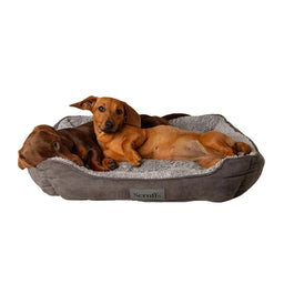 Scruffs Cosy Dog Box Bed - Grey