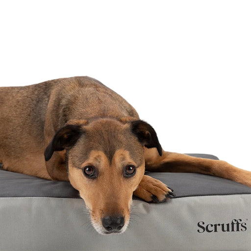 Scruffs ArmourDillo Orthopaedic Dog Bed - Grey