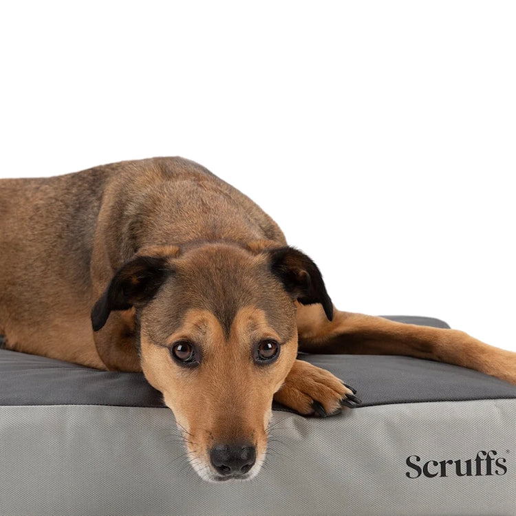Scruffs ArmourDillo Orthopaedic Dog Bed - Grey