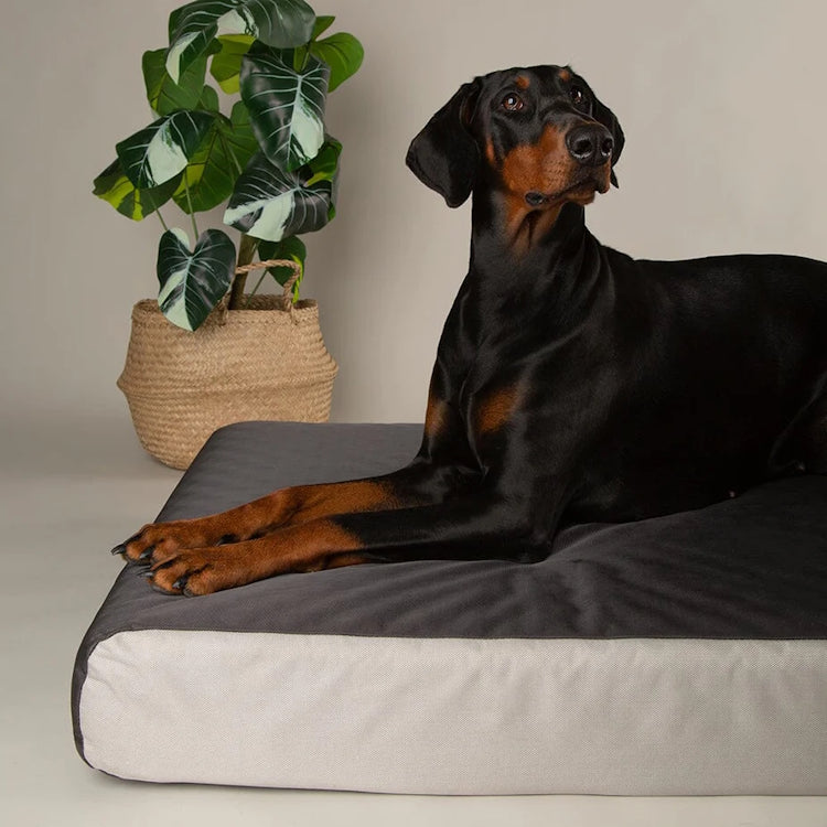 Scruffs ArmourDillo Orthopaedic Dog Bed - Grey
