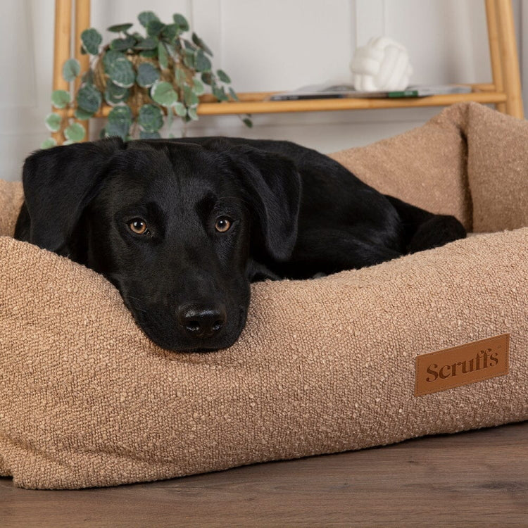 Scruffs Boucle Box Dog Bed - Desert Tan