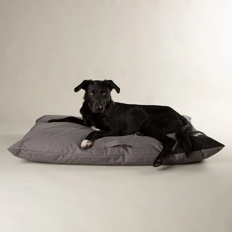Scruffs Expedition Orthopaedic Pillow Dog Bed - Storm Grey