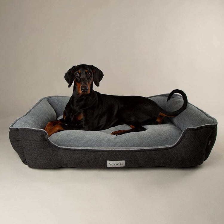Scruffs Harvard Dog Box Bed - Graphite Grey