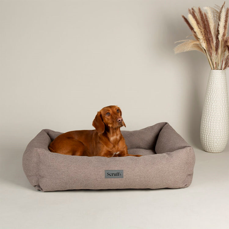 Scruffs Seattle Dog Box Bed - Stone Grey