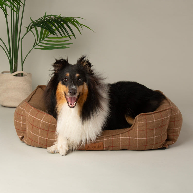 Scruffs Shetland Dog Box Bed - Brown