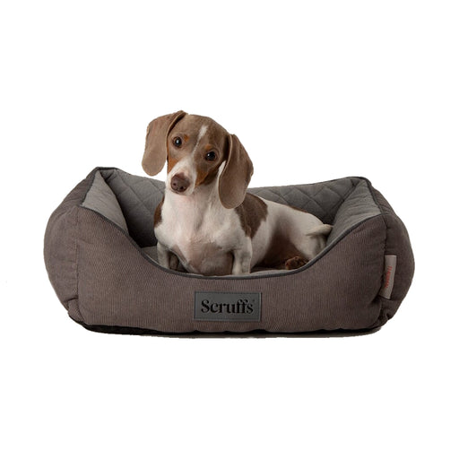 Scruffs Thermal Dog Box Bed - Grey