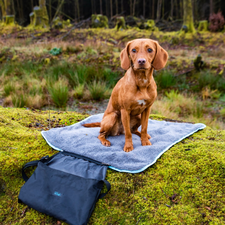 Henry Wag Easy-Roll Travel Pet Bed