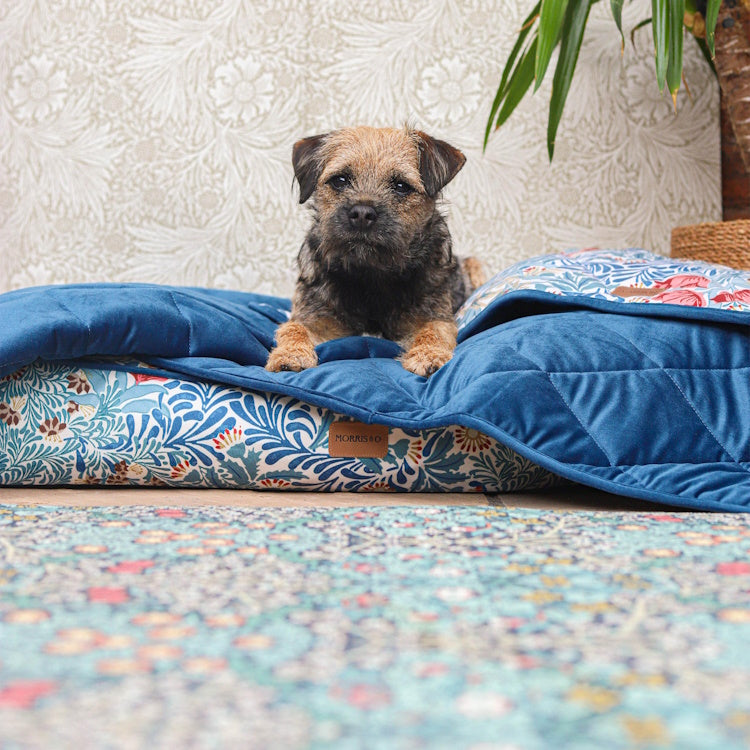 Morris and Co Pet Blanket - Bower Print