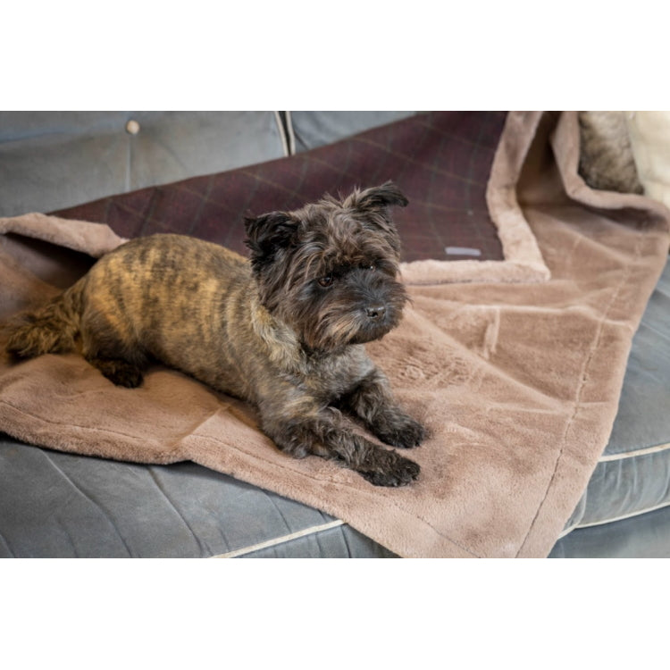 House of Paws Tweed and Plush Dog Blanket - Mulberry