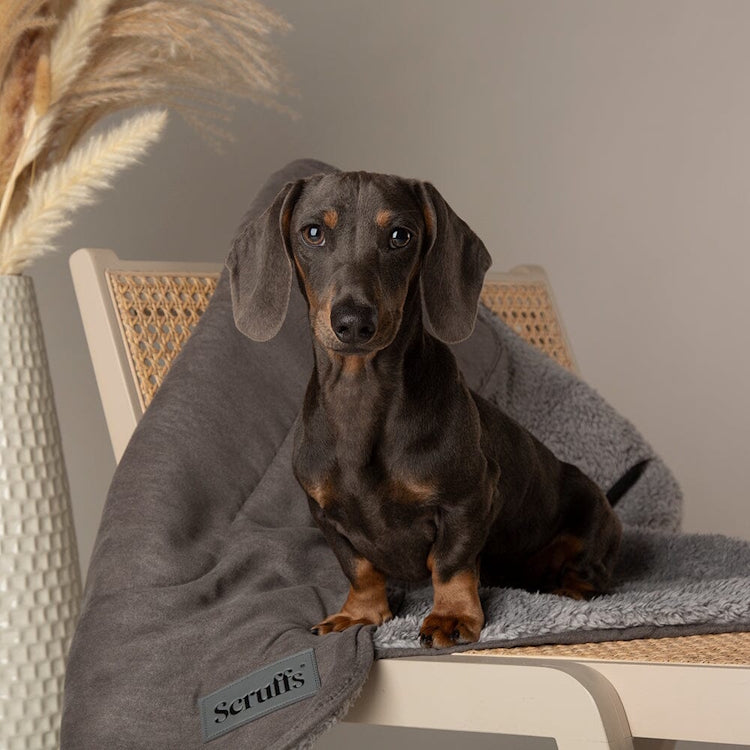 Scruffs Cosy Dog Blanket - Grey