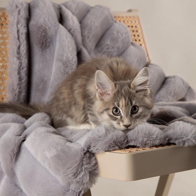 Scruffs Aspen Dog Blanket - Grey