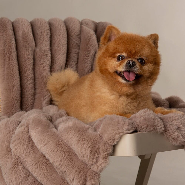 Scruffs Aspen Dog Blanket - Taupe