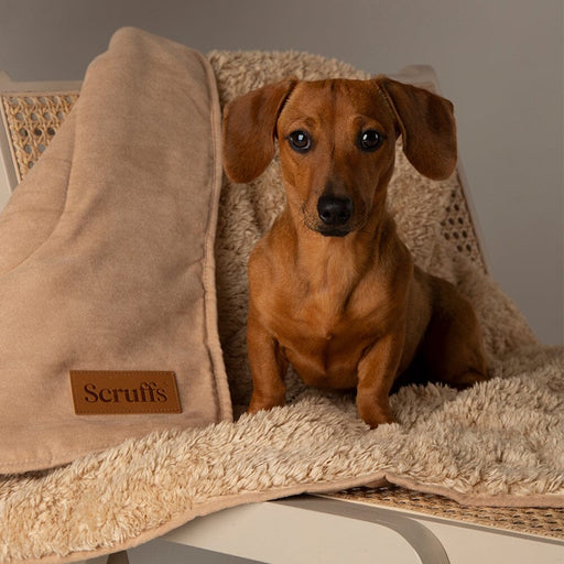 Scruffs Cosy Snuggle Dog Blanket - Desert Sand