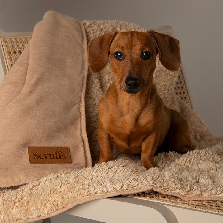 Scruffs Cosy Snuggle Dog Blanket - Desert Sand