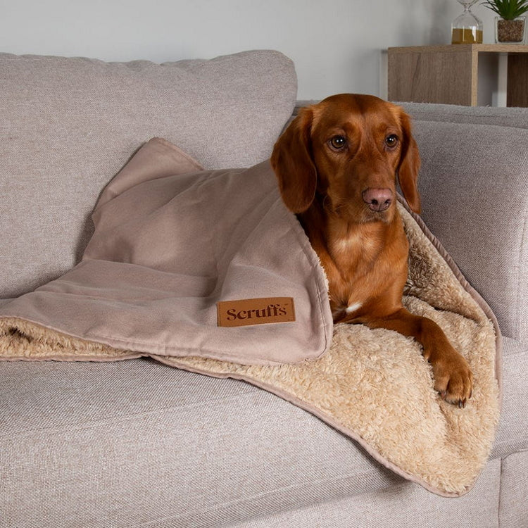 Scruffs Cosy Snuggle Dog Blanket - Desert Sand