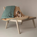 Scruffs Cosy Snuggle Dog Blanket - Sage Green