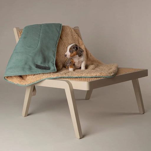 Scruffs Cosy Snuggle Dog Blanket - Sage Green