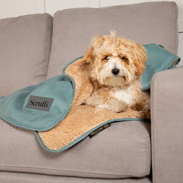 Scruffs Cosy Snuggle Dog Blanket - Sage Green