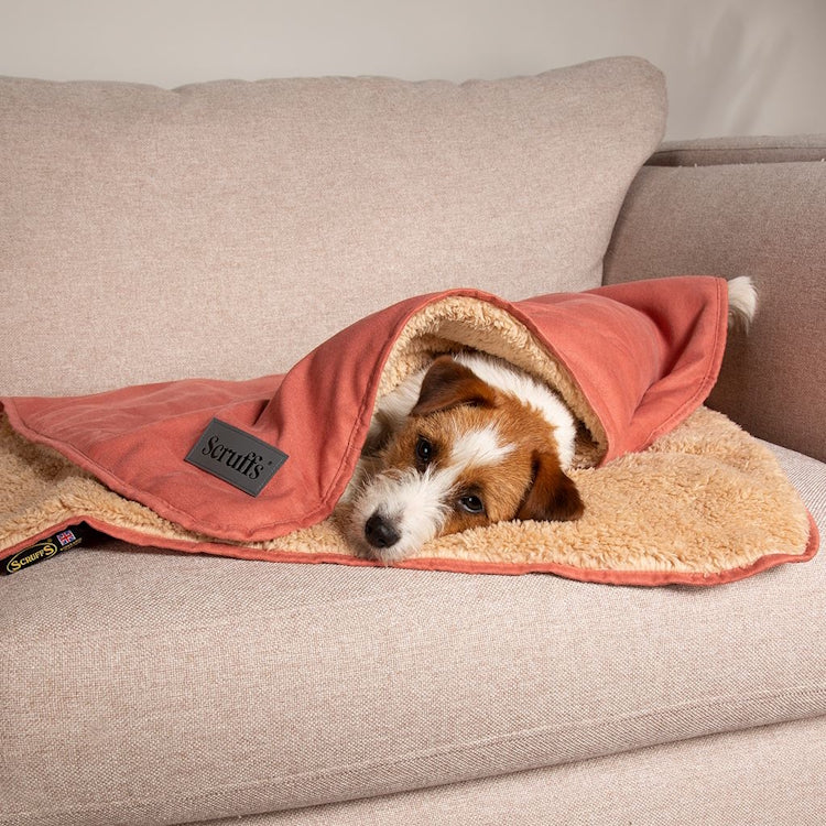 Scruffs Cosy Snuggle Dog Blanket - Terracotta