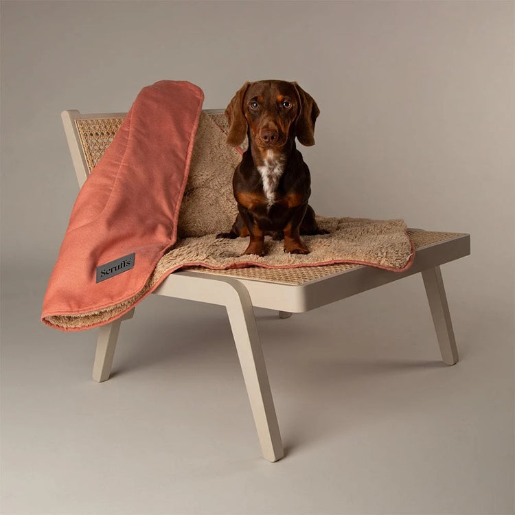 Scruffs Cosy Snuggle Dog Blanket - Terracotta