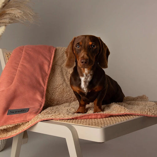 Scruffs Cosy Snuggle Dog Blanket - Terracotta