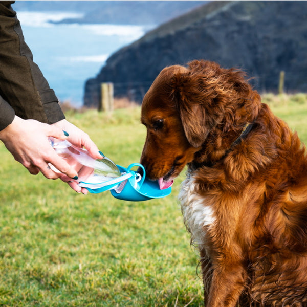 Henry Wag Water Bottle With Leaf Bowl