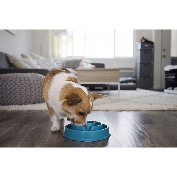 Outward Hound Fun Feeder Slow Bowl - Turquoise - Large