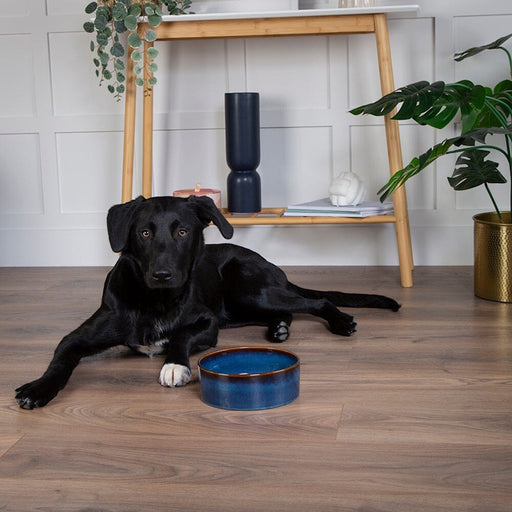 Scruffs Reactive Glaze Dog Bowl - Midnight Blue