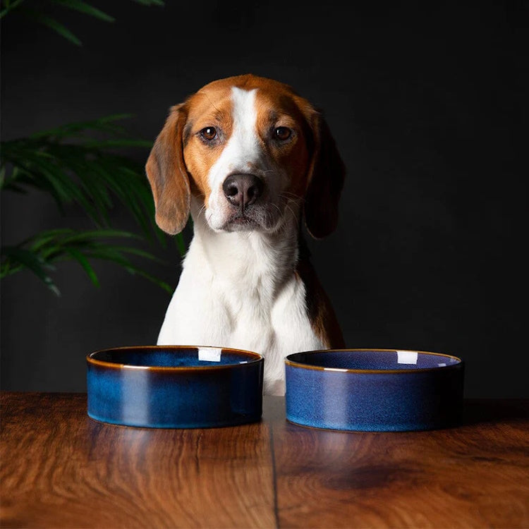 Scruffs Reactive Glaze Dog Bowl - Midnight Blue