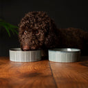 Scruffs Reactive Glaze Dog Bowl - Pinstripe