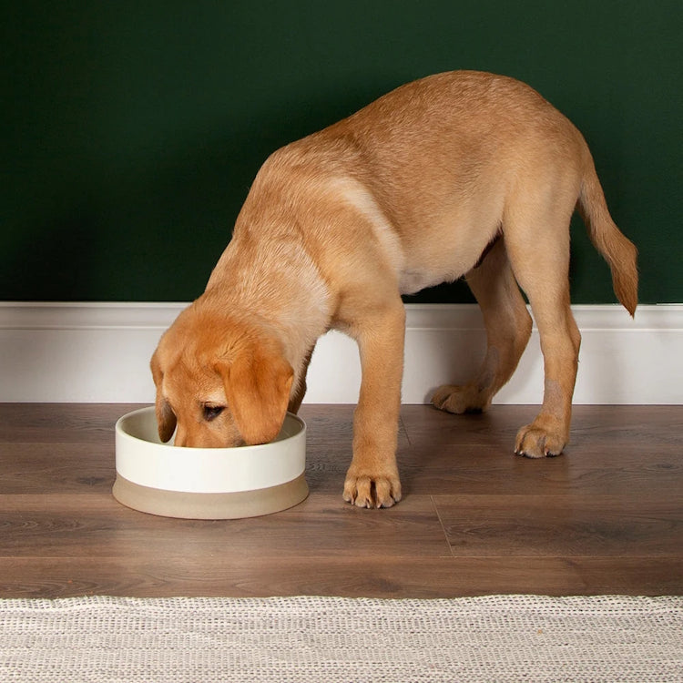 Scruffs Scandi Non Tip Dog Bowl - Cream