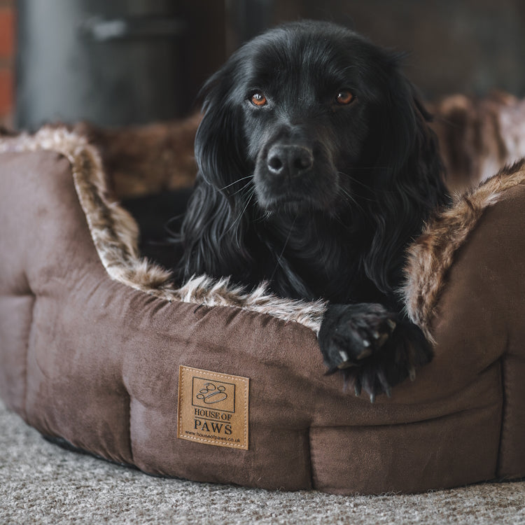 House of Paws Arctic Fox Snuggle Dog Bed