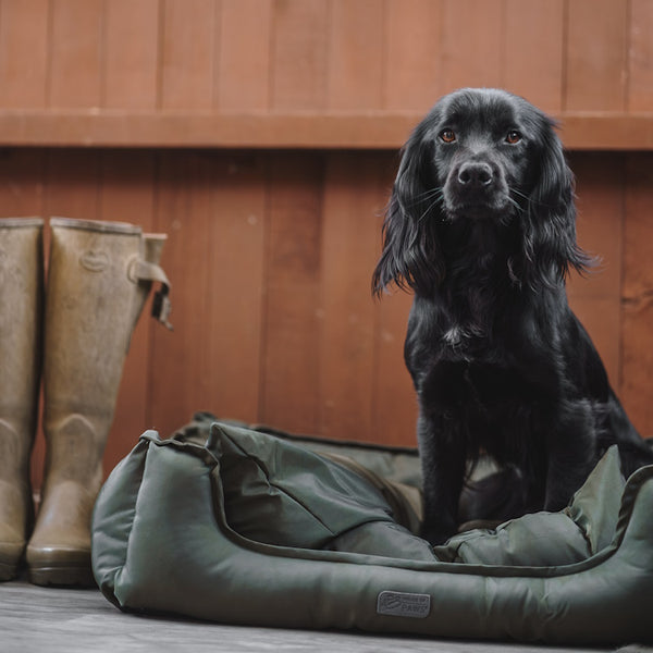 House of Paws Water Resistant Rectangle Dog Bed - Green