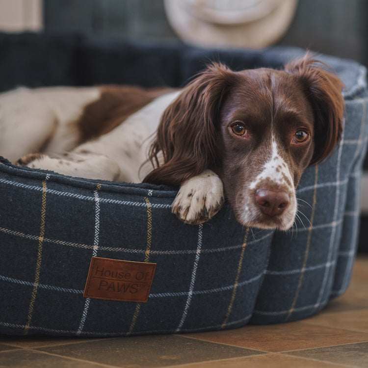 House of Paws Tweed Oval Snuggle Dog Bed - Navy Check