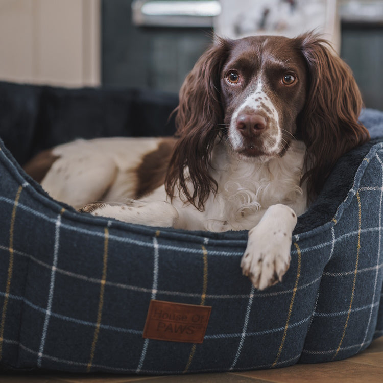 House of Paws Tweed Oval Snuggle Dog Bed - Navy Check
