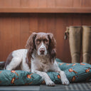 House of Paws Pheasant Water Resistant Oval Mat