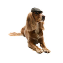 Barbour Dog Wax Flat Cap - Olive