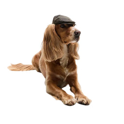 Barbour Dog Wax Flat Cap - Olive