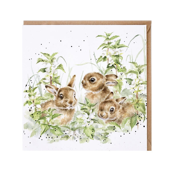 Wrendale Designs Spring Hares Leveret Card