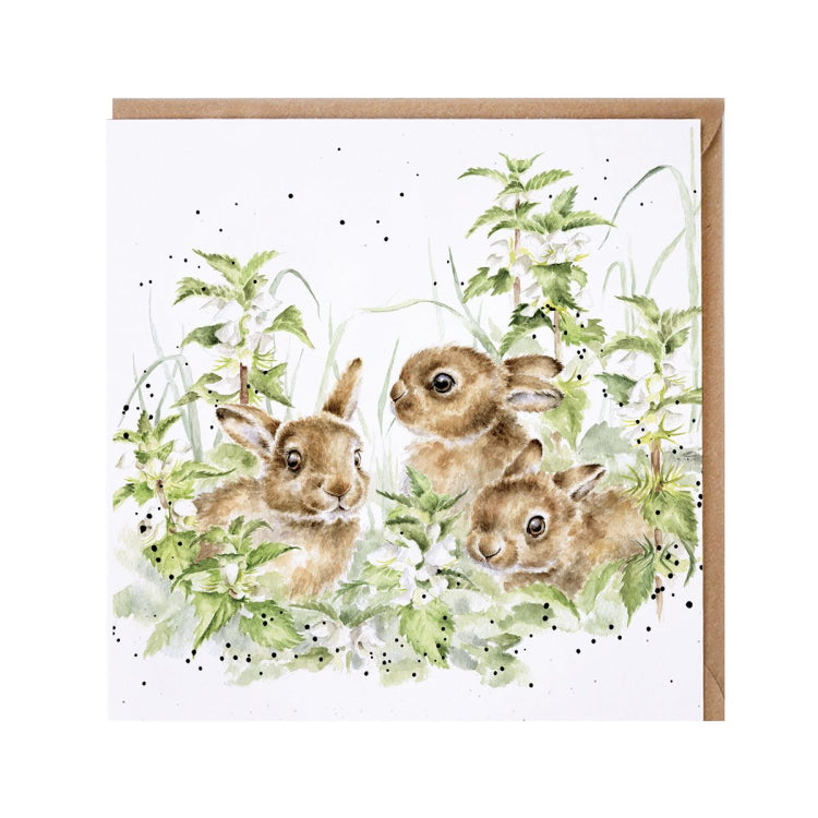 Wrendale Designs Spring Hares Leveret Card