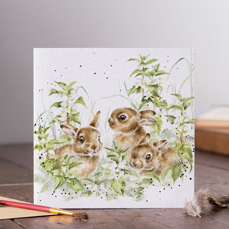 Wrendale Designs Spring Hares Leveret Card