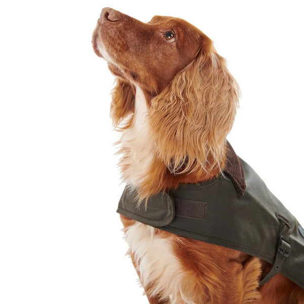 Barbour Matt Wax Dog Coat