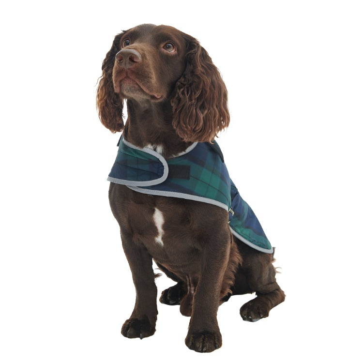 Barbour Wetherham Tartan Dog Coat Blackwatch John Norris