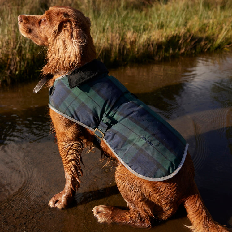 Barbour Wetherham Tartan Dog Coat Blackwatch John Norris