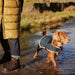 Barbour Wetherham Tartan Dog Coat - Blackwatch Tartan