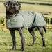 Dog and Field 2-in-1 Waterproof Drying Dog Coat
