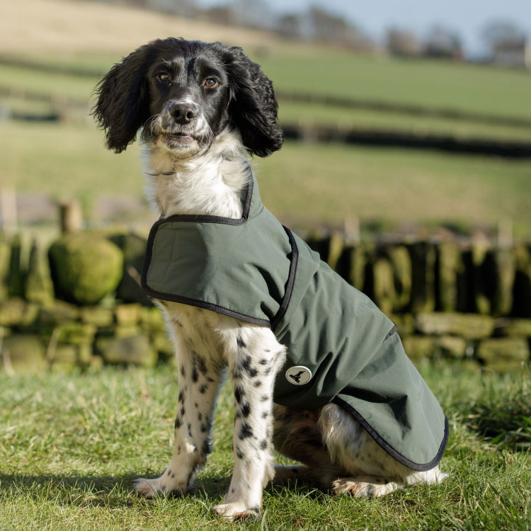 Dog and Field 2in1 Waterproof Drying Dog Coat John Norris